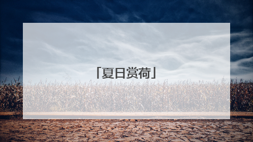 夏日赏荷