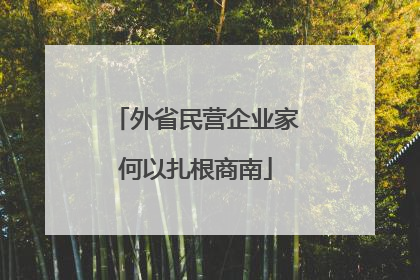 外省民营企业家何以扎根商南