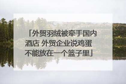 外贸羽绒被牵手国内酒店 外贸企业说鸡蛋不能放在一个篮子里