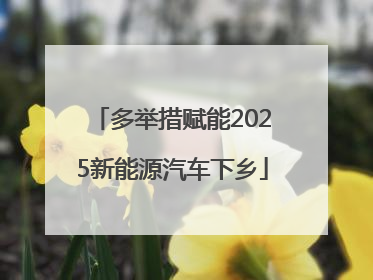 多举措赋能2025新能源汽车下乡