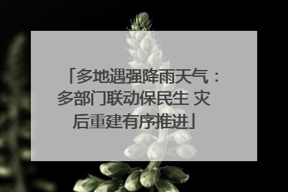 多地遇强降雨天气：多部门联动保民生 灾后重建有序推进