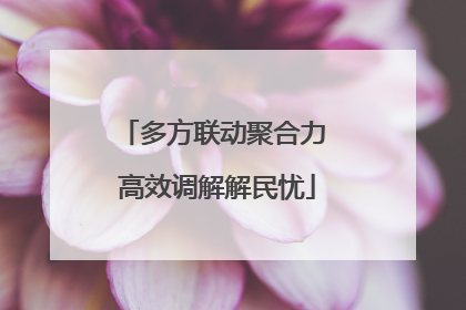 多方联动聚合力 高效调解解民忧