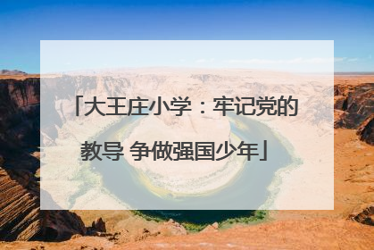大王庄小学：牢记党的教导 争做强国少年