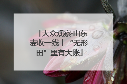 大众观察·山东麦收一线丨“无形田”里有大账