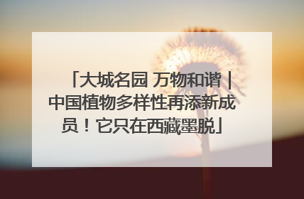 大城名园 万物和谐｜中国植物多样性再添新成员！它只在西藏墨脱