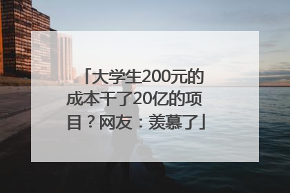 大学生200元的成本干了20亿的项目？网友：羡慕了