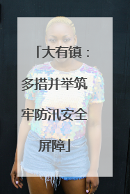 大有镇：多措并举筑牢防汛安全屏障