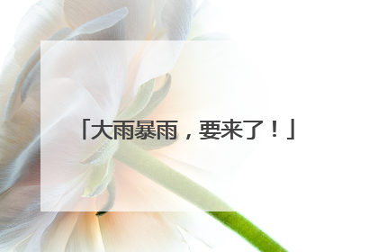 大雨暴雨，要来了！