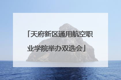 天府新区通用航空职业学院举办双选会