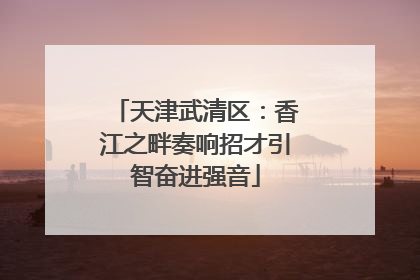 天津武清区：香江之畔奏响招才引智奋进强音