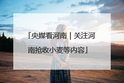 央媒看河南｜关注河南抢收小麦等内容