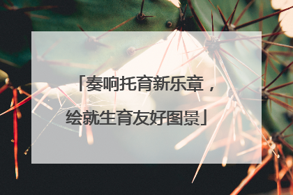 奏响托育新乐章，绘就生育友好图景
