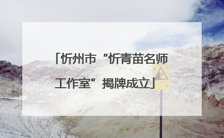 忻州市“忻青苗名师工作室”揭牌成立