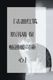 志愿红筑防汛墙 保畅通暖司乘心