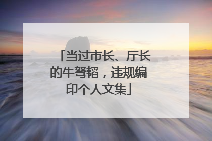 当过市长、厅长的牛弩韬，违规编印个人文集