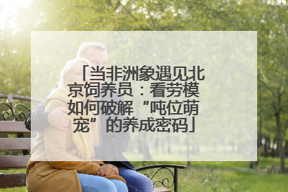当非洲象遇见北京饲养员：看劳模如何破解“吨位萌宠”的养成密码
