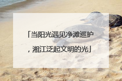 当阳光遇见净滩巡护，湘江泛起文明的光