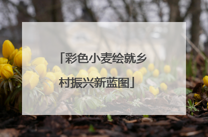 彩色小麦绘就乡村振兴新蓝图