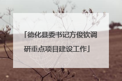 德化县委书记方俊钦调研重点项目建设工作
