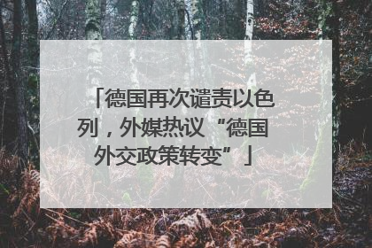 德国再次谴责以色列，外媒热议“德国外交政策转变”