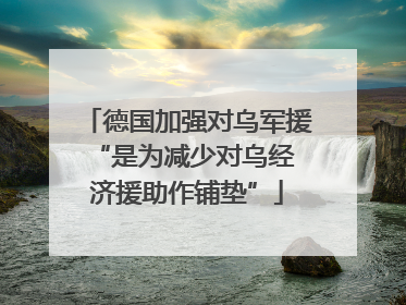 德国加强对乌军援 “是为减少对乌经济援助作铺垫”