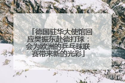 德国驻华大使馆回应樊振东赴德打球：会为欧洲的乒乓球联赛带来新的光彩