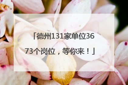 德州131家单位3673个岗位，等你来！