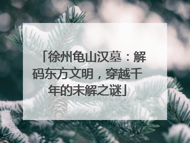 徐州龟山汉墓：解码东方文明，穿越千年的未解之谜