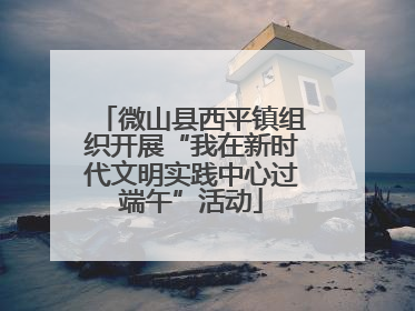 微山县西平镇组织开展“我在新时代文明实践中心过端午”活动