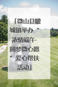 微山县驩城镇举办“浓情端午·圆梦微心愿”爱心帮扶活动
