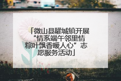 微山县驩城镇开展“情系端午邻里情 粽叶飘香暖人心”志愿服务活动