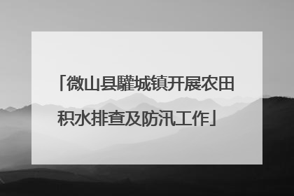 微山县驩城镇开展农田积水排查及防汛工作