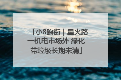 小8跑街｜星火路一机电市场外 绿化带垃圾长期未清
