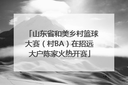 山东省和美乡村篮球大赛（村BA）在招远大户陈家火热开赛