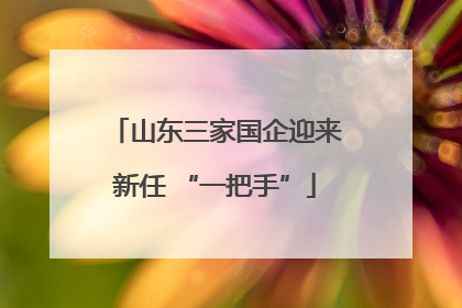山东三家国企迎来新任 “一把手”