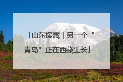 山东援藏｜另一个“青岛”正在西藏生长
