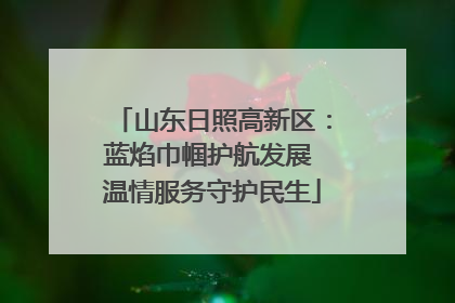 山东日照高新区：蓝焰巾帼护航发展 温情服务守护民生