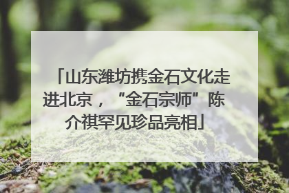 山东潍坊携金石文化走进北京，“金石宗师”陈介祺罕见珍品亮相