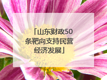 山东财政50条靶向支持民营经济发展