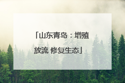 山东青岛：增殖放流 修复生态