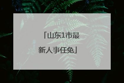 山东1市最新人事任免