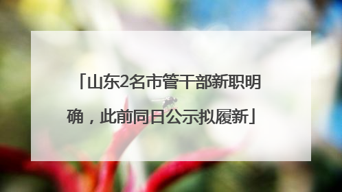 山东2名市管干部新职明确，此前同日公示拟履新
