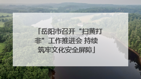 岳阳市召开“扫黄打非”工作推进会 持续筑牢文化安全屏障