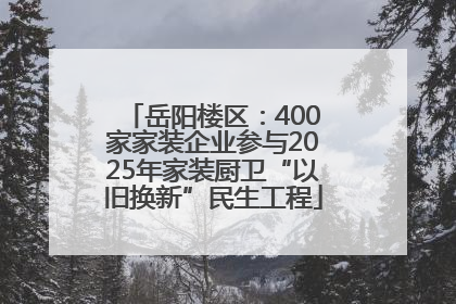岳阳楼区：400家家装企业参与2025年家装厨卫“以旧换新”民生工程
