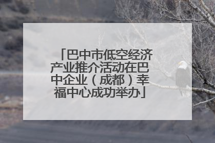 巴中市低空经济产业推介活动在巴中企业（成都）幸福中心成功举办