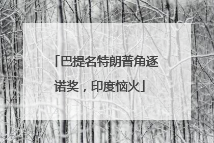 巴提名特朗普角逐诺奖，印度恼火