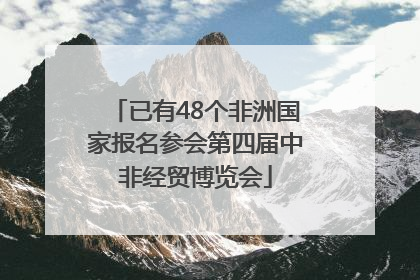 已有48个非洲国家报名参会第四届中非经贸博览会