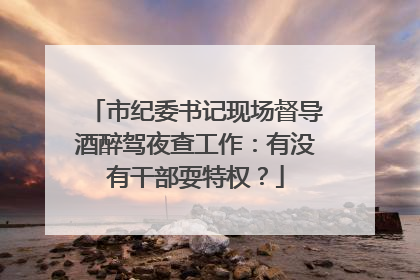 市纪委书记现场督导酒醉驾夜查工作：有没有干部耍特权？