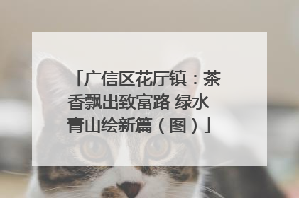 广信区花厅镇：茶香飘出致富路 绿水青山绘新篇（图）