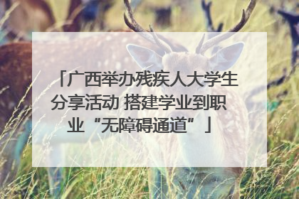 广西举办残疾人大学生分享活动 搭建学业到职业“无障碍通道”